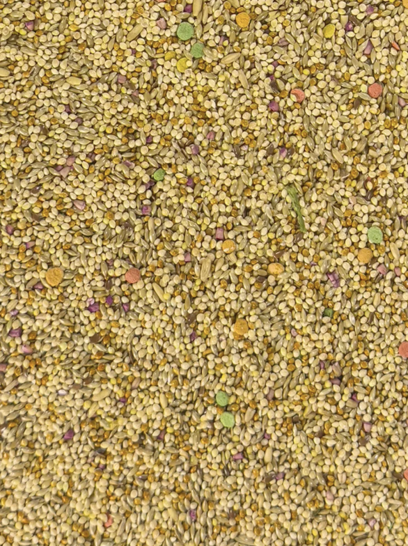 Parakeet Fortified seed mix