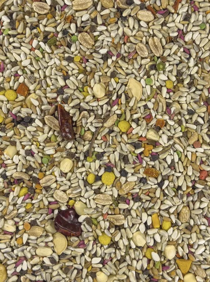 Parrot Safflower Fortified seed mix