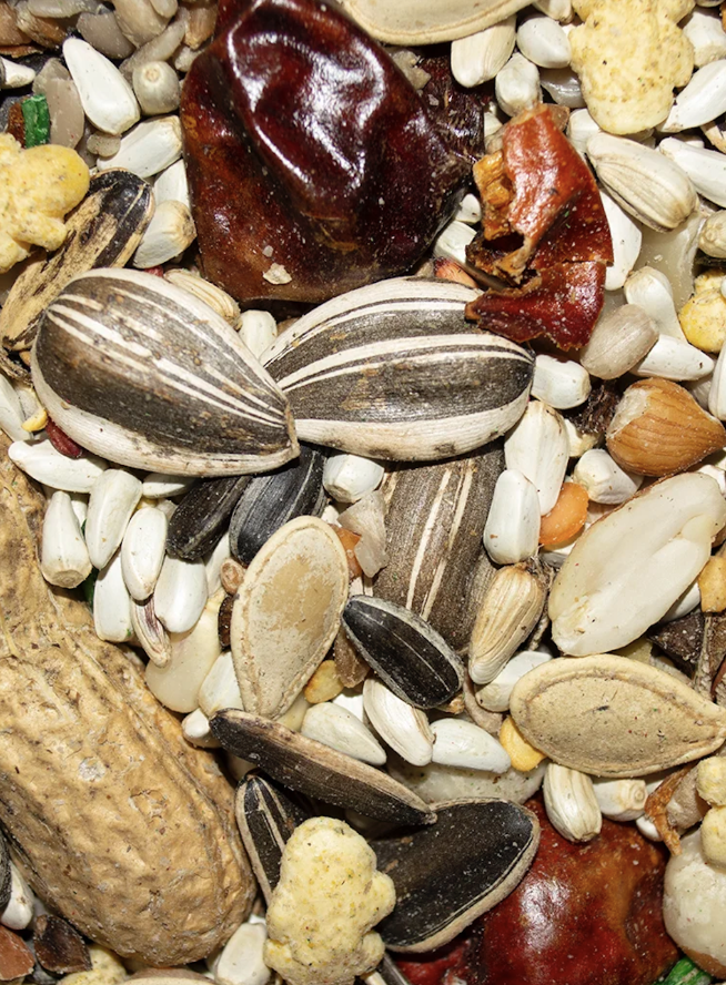 Parrot Sunflower Premium seed mix