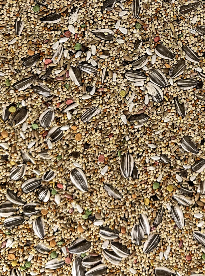 Small Hookbill Fortified seed mix