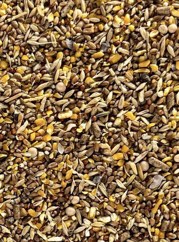 El Ranchero Cracked Corn feed close-up
