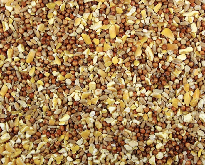 Farmers Best Scratch feed close-up