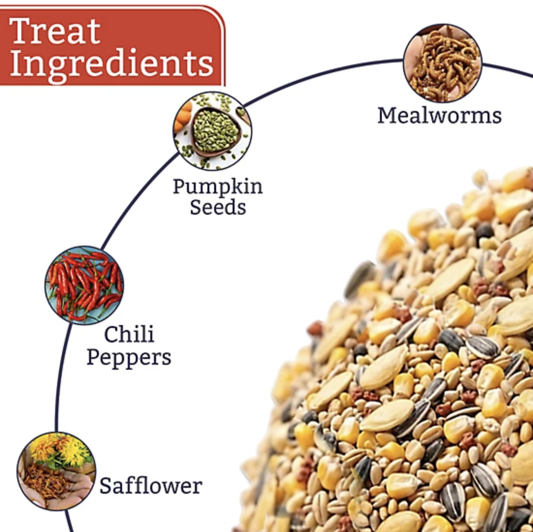 Pumpkin Spice & Everything Nice feed close-up