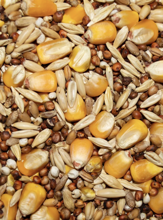 Super Scratch feed close-up