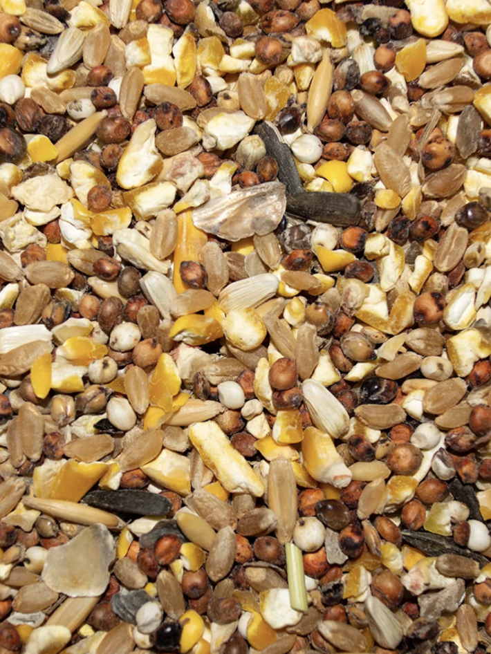 Winner’s Scratch feed close-up